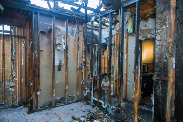 Professional Smoke Damage Removal technician working in Penryn, CA
